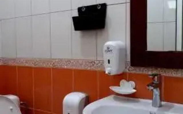 Hotel Elisabeta Borsh
