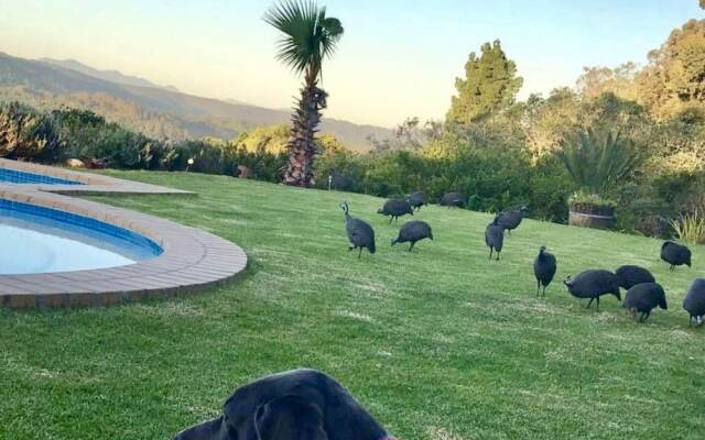 Chara Lakeside Lodge - Wilderness