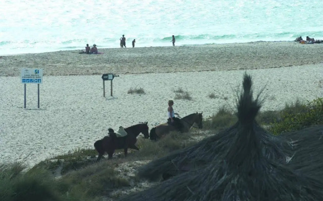 Beach Hotel Dos Mares