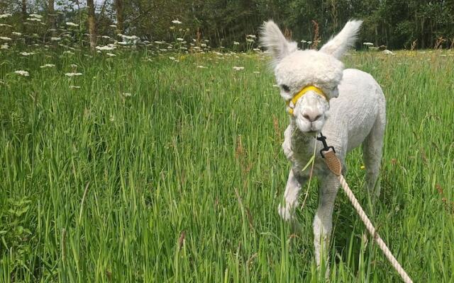 The Heartwood - Luxury Cabin Near York