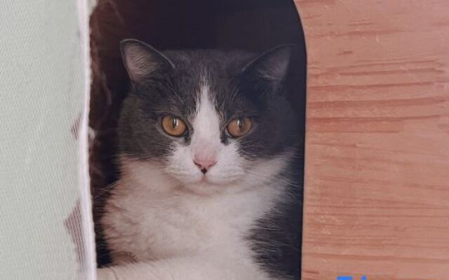 Xiaomi Apartment (Xiamen Gaoqi Airport)