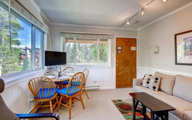 Breckenridge Park Meadows by Ski Country Resorts