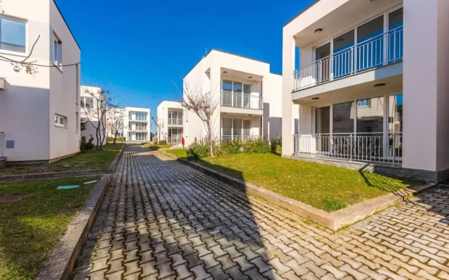 Blue Haven Talea in Tale