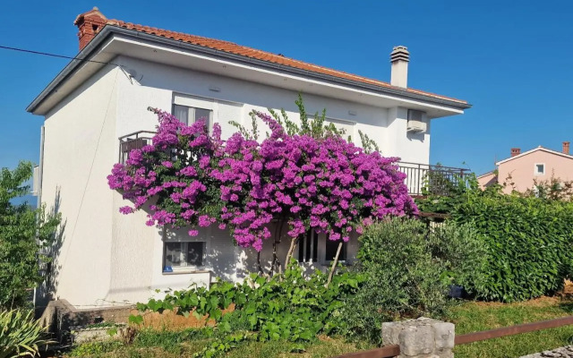 Apartment Šoštarić