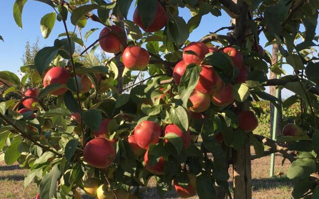 La Corte D'Emilio B&B