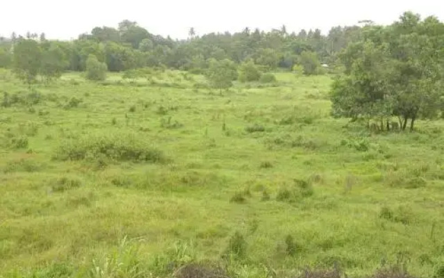 Othashy Airport Hotel