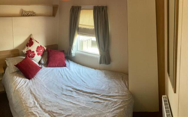 Trecco Bay Acorns 22