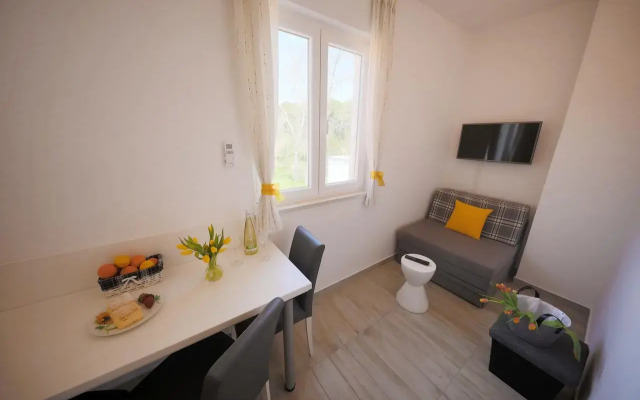 Apartment Vruljica