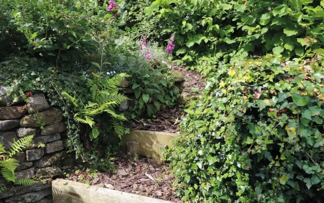 Bwthyn Gwyn Ty'n Y Pant