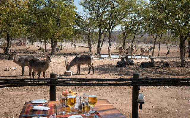 Ongava Tented Camp - All-Inclusive