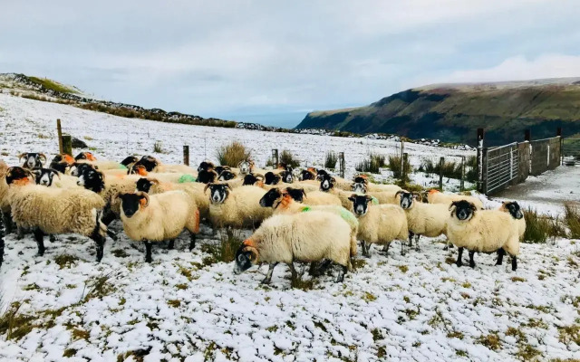 GlenHaven Holiday Accommodation