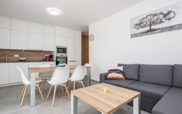 Apartment Spanic 1