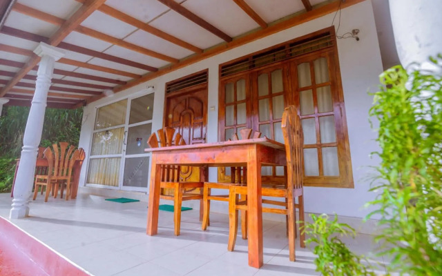 Rainforest River Edge