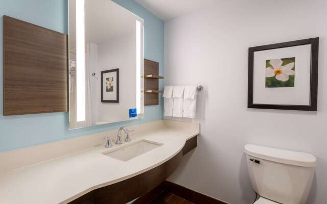 Hilton Garden Inn Roanoke