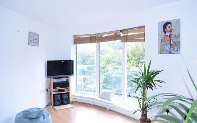 Spacious 1 Bedroom Apartment Overlooking Haggerston Park