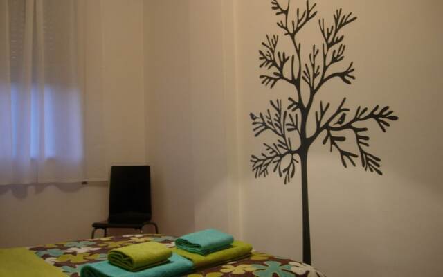 T1 Fernão Magalhães