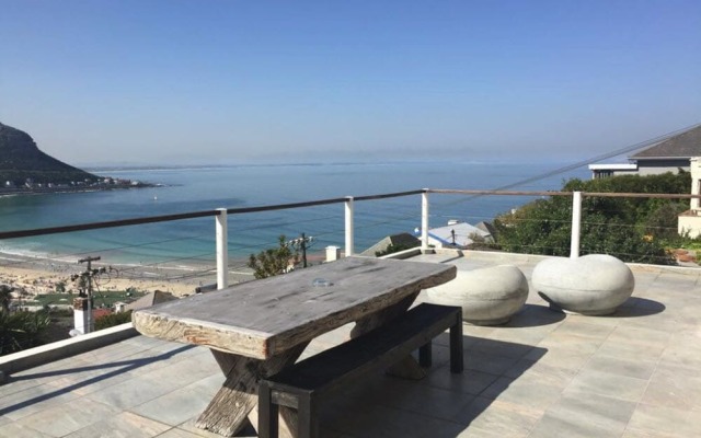 Watching Waves Heron Chase