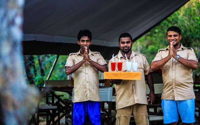 Yala Safari Camping