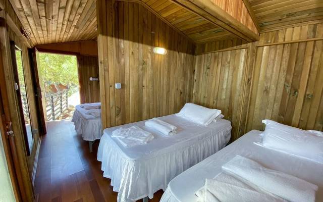Tree Houses