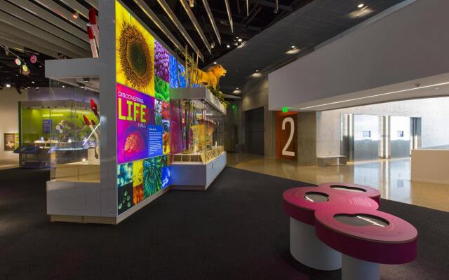 Hampton Inn Dallas-Irving-Las Colinas