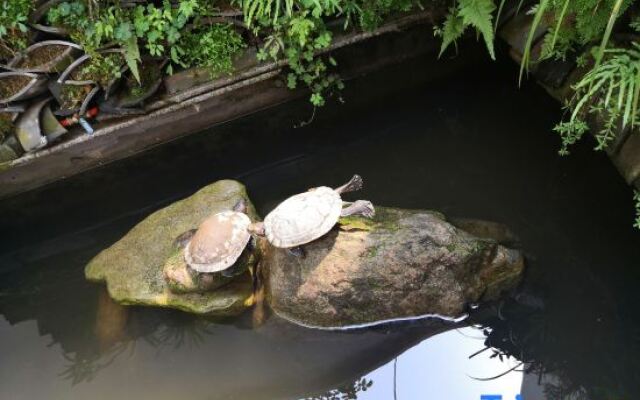 Yueqing Yandang Banshufang Inn