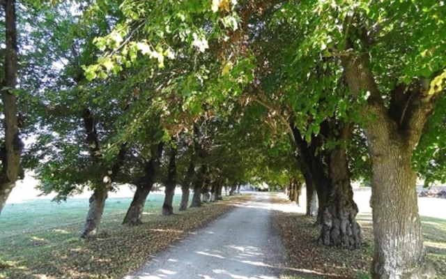 Chateau la Mothe Charente