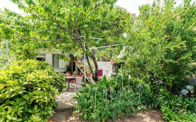 Apartments Zarac