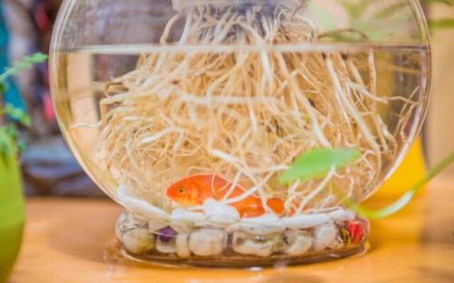 Xing Long No 37 Hostel