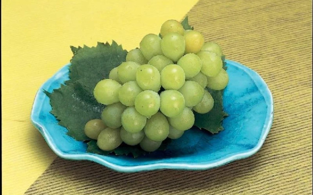 Tomata Onsen Noritake