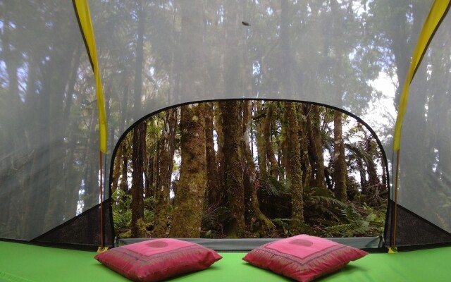 Pupu Rangi Nature Sanctuary - Conservation Area