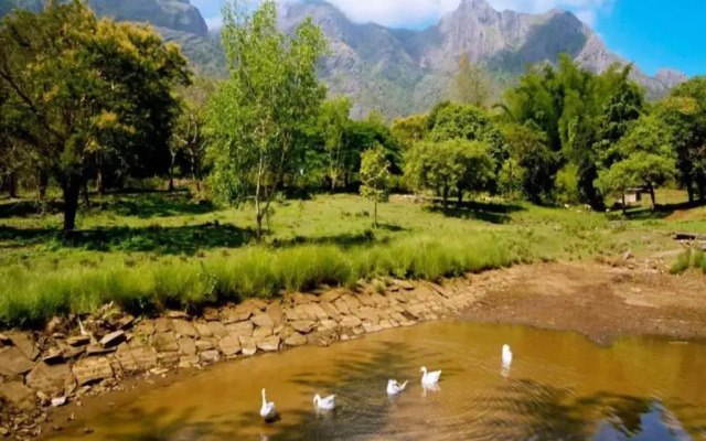 Jungle Hut Resorts