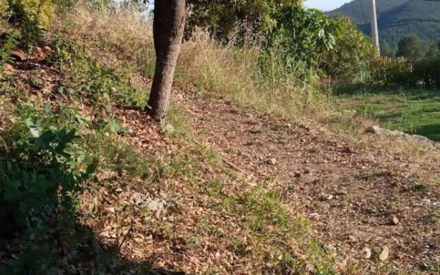 2 logements pour 10 personnes +piscine luxe