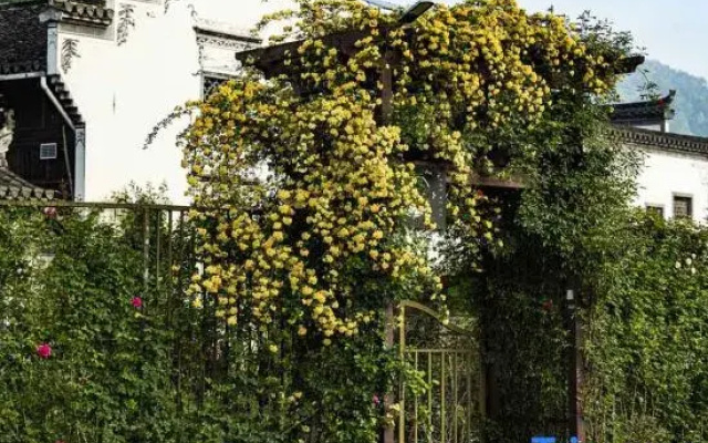 Huangshan Yefu Garden Homestay (Huangshan North Gate Branch)