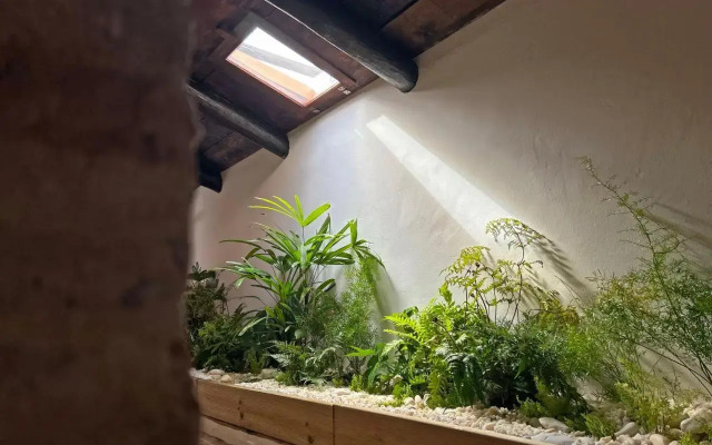 Casa Do Avo Zezinho