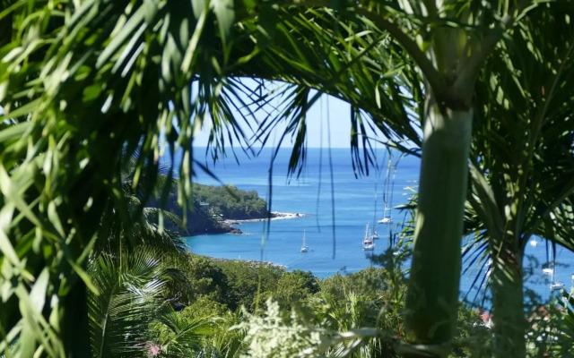 Appartement Tillet. O Coeur de Deshaies.