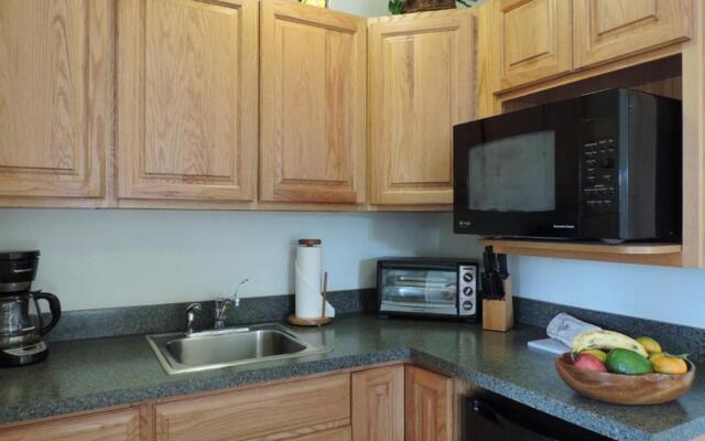 Hale Pua Villa - Seaside Studio