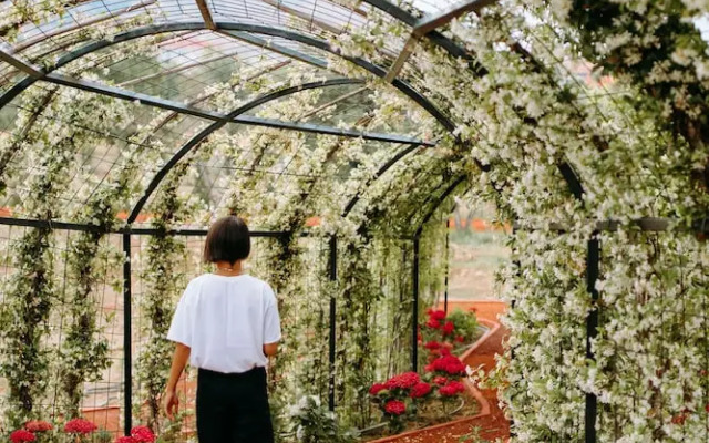 Bengodi Boutique Hotel