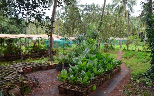 Mangaal Farmstay Goa