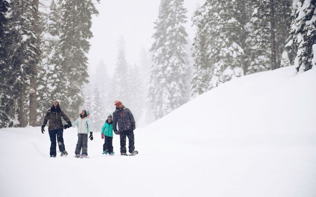 4025 Ski Trails