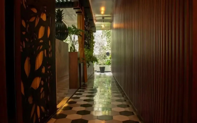 Casa Hedera México