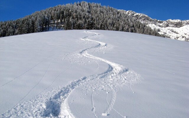 Ferienwohnung Brandtner Leogang