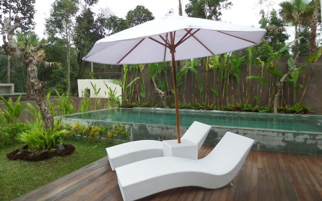 Senetan Villa and Spa Resort