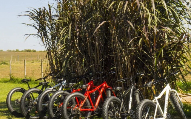 Posada de Campo Los Azahares