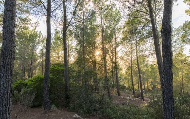 Stunning Finca in North Ibiza