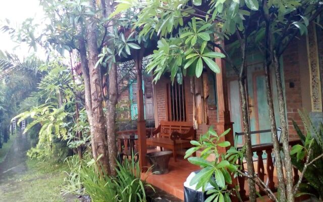 Bedhot Homestay