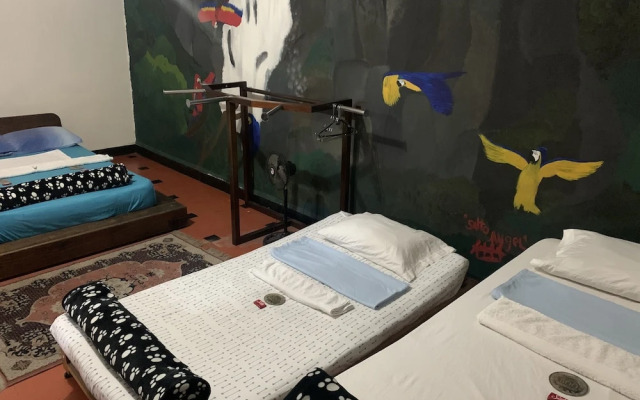 Natural House Hostel