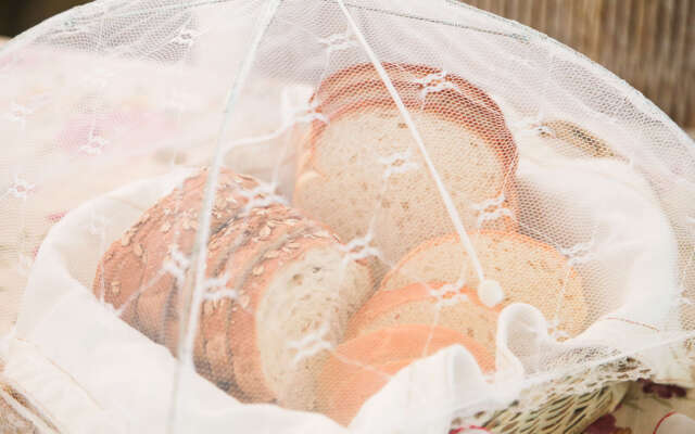 Morada das Bromélias