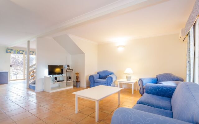 Banksia at Middleton