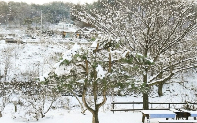 Yangpyeong Pension ANN