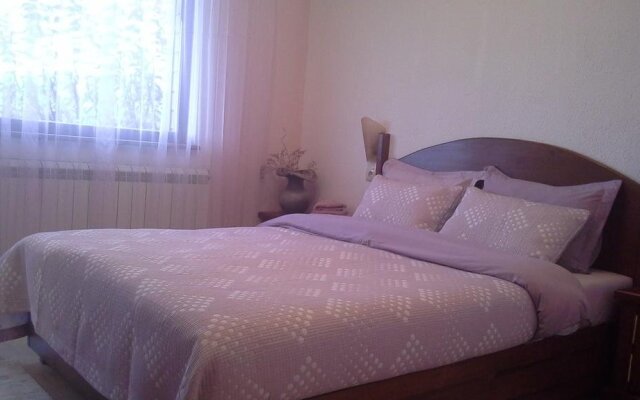 Guest House Vasil